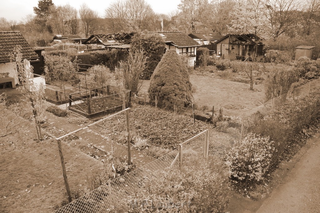 Wieder Laubenbraende Koeln Fuehlingen Kriegerhofstr P036.JPG - Miklos Laubert